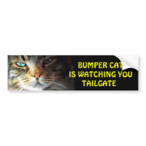 Bumper Cat is watching TAILGATE 2 Bumper Sticker Bumper Cat is watching TAILGATE 2 Bumper Sticker