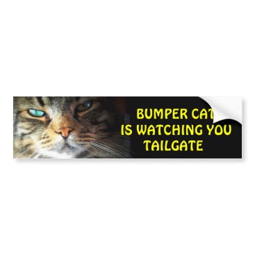 Bumper Cat is watching TAILGATE 2 Bumper Sticker