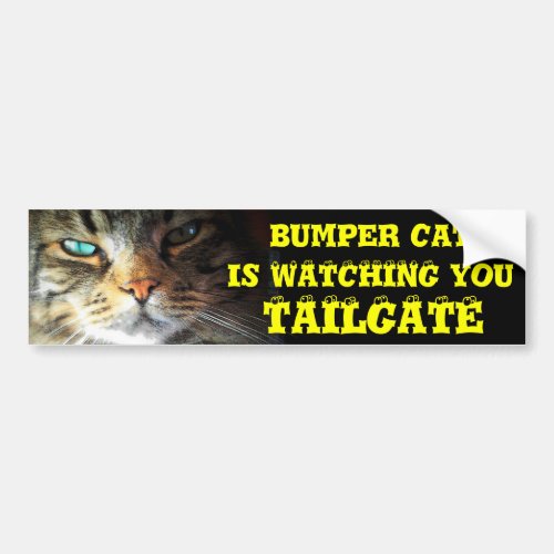 Bumper Cat is watching TAILGATE 2 eyeball font Bumper Sticker