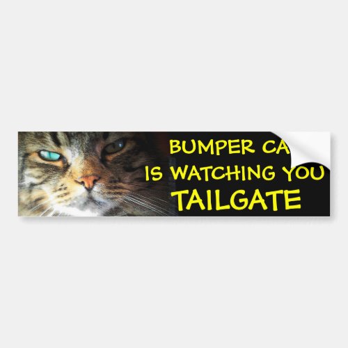 Bumper Cat is watching TAILGATE 2 new font Bumper Sticker
