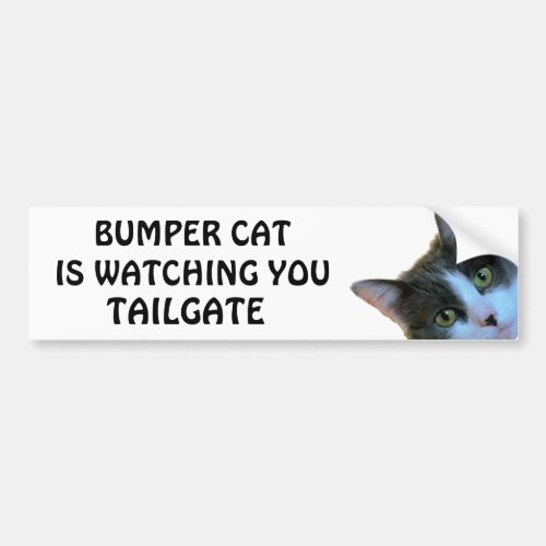 Bumper Cat is watching TAILGATE 30 Bumper Sticker
