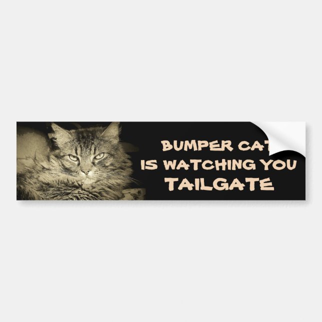 Bumper Cat is watching TAILGATE 34 Shades of Gray Bumper Sticker (Front)