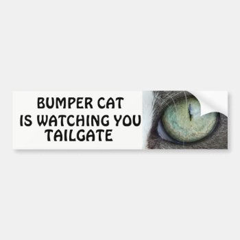 Bumper Cat Is Watching Tailgate 38 Bumper Sticker by talkingbumpers at Zazzle