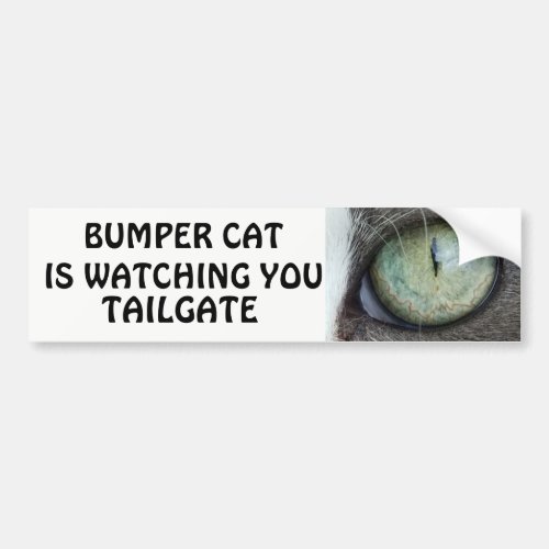 Bumper Cat is watching TAILGATE 38 Bumper Sticker