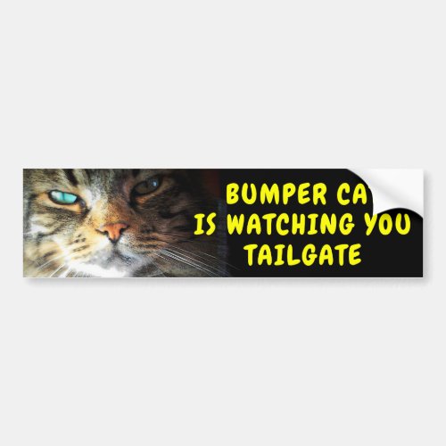 Bumper Cat is watching TAILGATE 42 Chewy Font Bumper Sticker