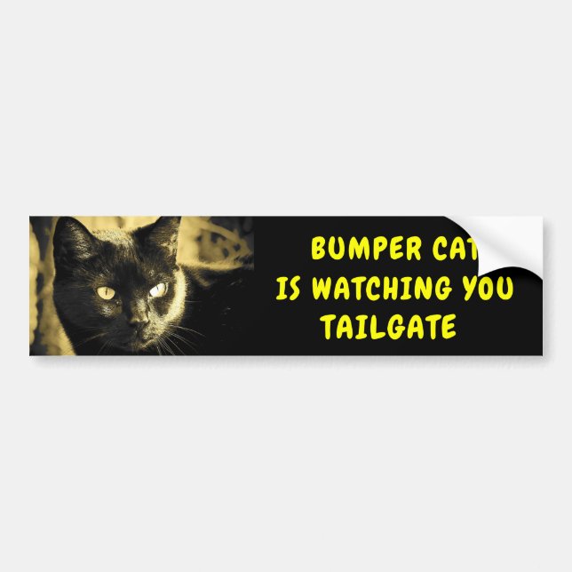 Bumper Cat is watching TAILGATE 44 Sticker (Front)