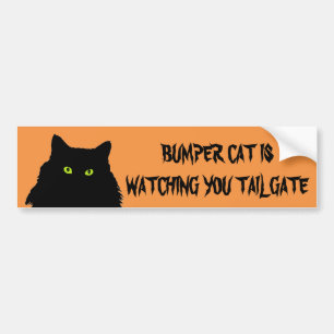 Bumper Cat is watching TAILGATE Black and Orange Sticker