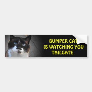 Bumper Cat is watching TAILGATE Sticker