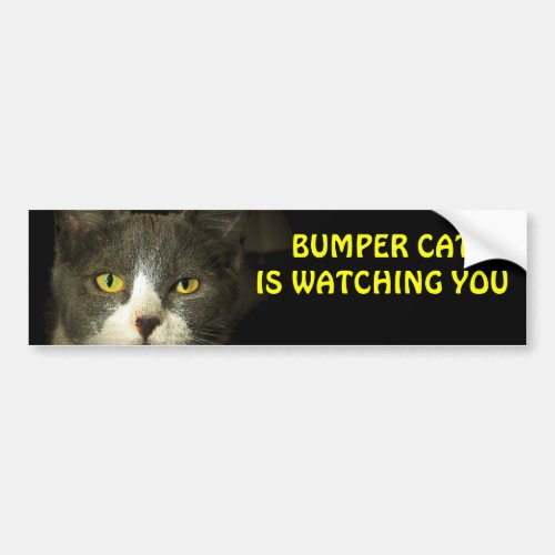 Bumper Cat is watching you 3 Bumper Sticker