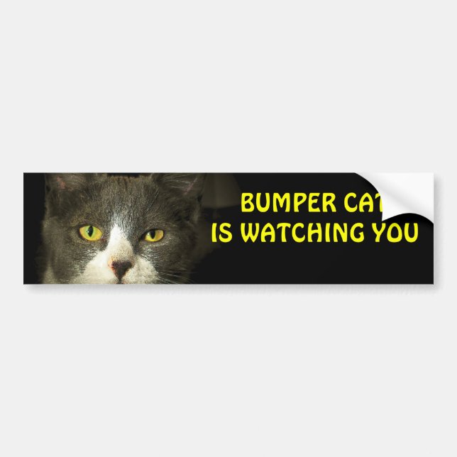 Bumper Cat is watching you 3 Sticker (Front)