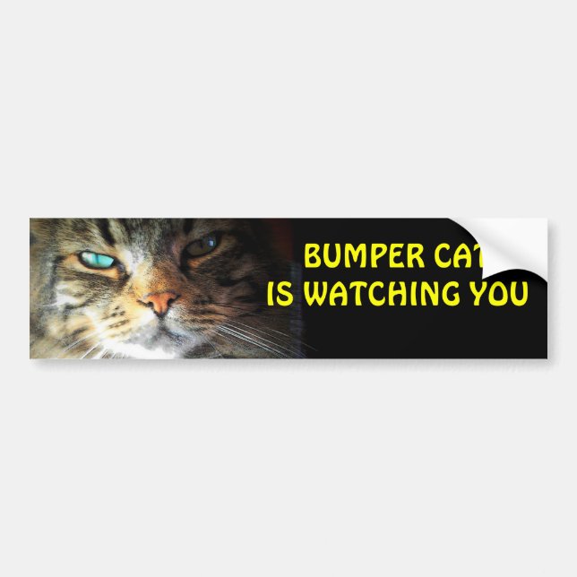 Bumper Cat is watching you 4 Sticker (Front)