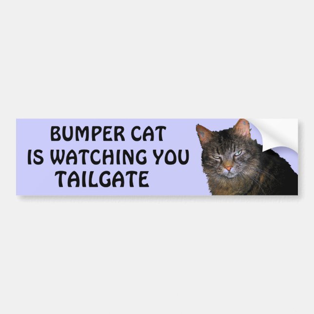 Bumper Cat is watching You TAILGATE 10 Bumper Sticker (Front)