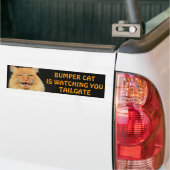 Bumper Cat is watching you TAILGATE 13 Meme Bumper Sticker (On Truck)