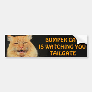 Troll Face Meme Sticker  Bumper Funny tailgate Kitty JDM Decal