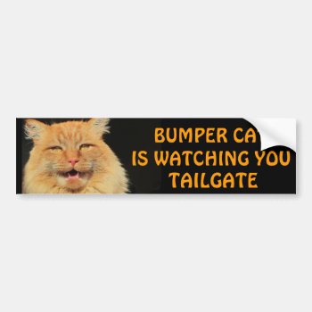 Bumper Cat Is Watching You Tailgate 13 Meme Bumper Sticker by talkingbumpers at Zazzle
