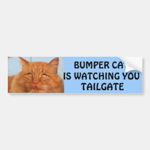 Bumper Cat is watching You TAILGATE 14 Sticker