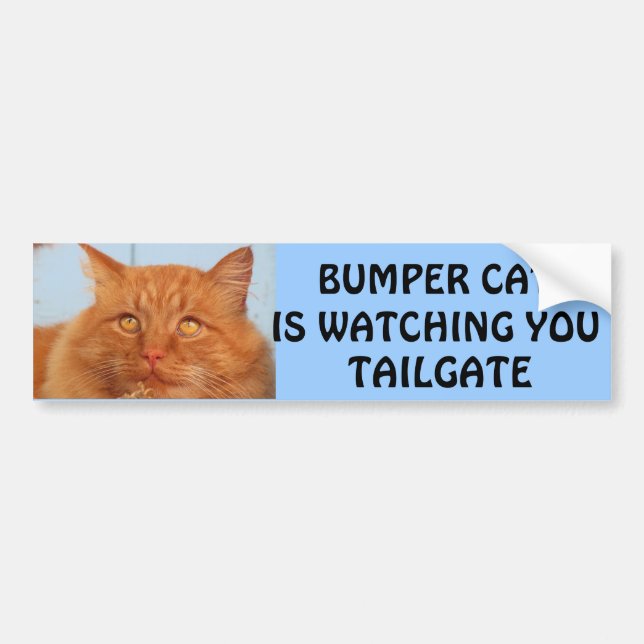 Bumper Cat is watching You TAILGATE 14 Sticker (Front)
