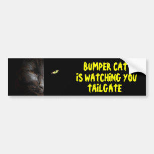Bumper Cat is Watching You Tailgate 37 Sticker
