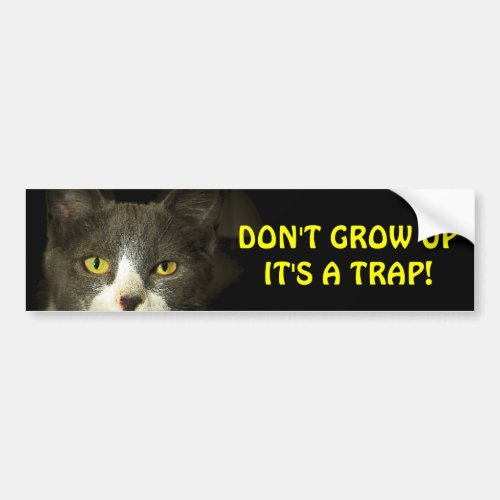 Bumper Cat Says Dont Grow Up Meme Bumper Sticker