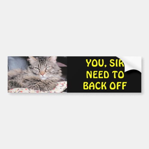 Bumper Cat Says You Sir Need To Back Off Bumper Sticker