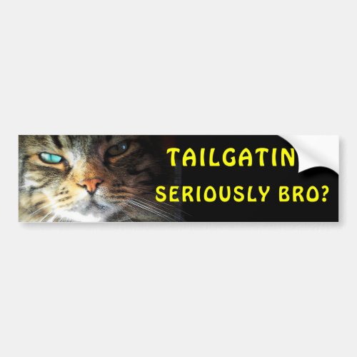 Bumper Cat Tailgating Seriously Bro Meme Bumper Sticker