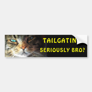 Bumper Cat: Tailgating? Seriously Bro? Meme Sticker