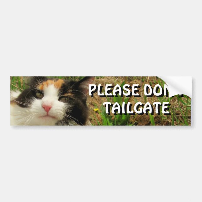 Bumper Cat Wants You To Back Off Meme Bumper Sticker (Front)