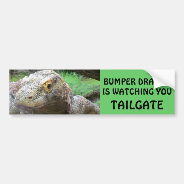 Bumper Dragon is Watching You TAILGATE Bumper Sticker (Front)