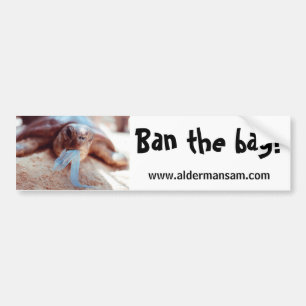 Bumper Sticker