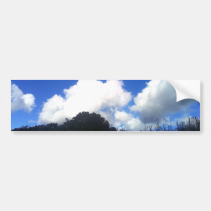 Bumper Sticker