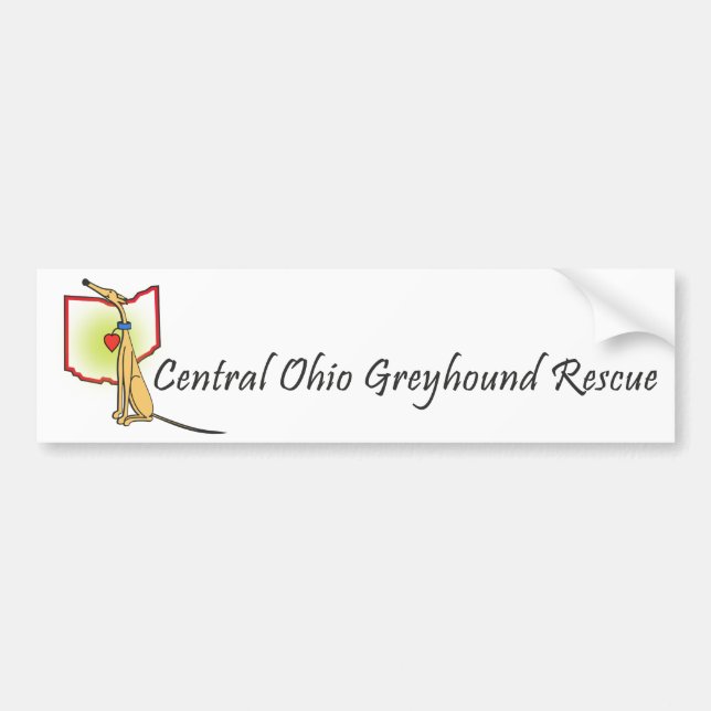 Bumper Sticker (Front)