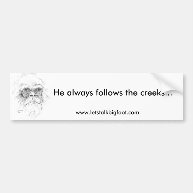 Bumper Sticker (Front)