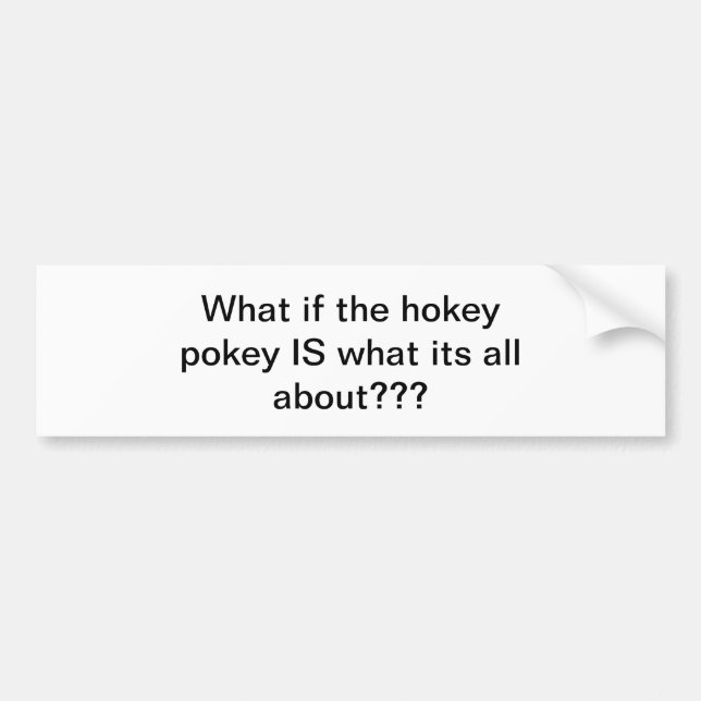 Bumper Sticker (Front)