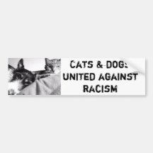 bumper sticker