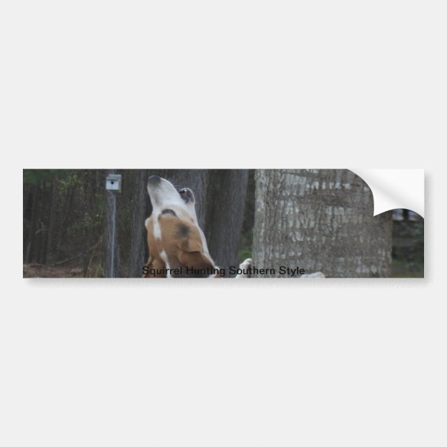 Bumper sticker (Front)