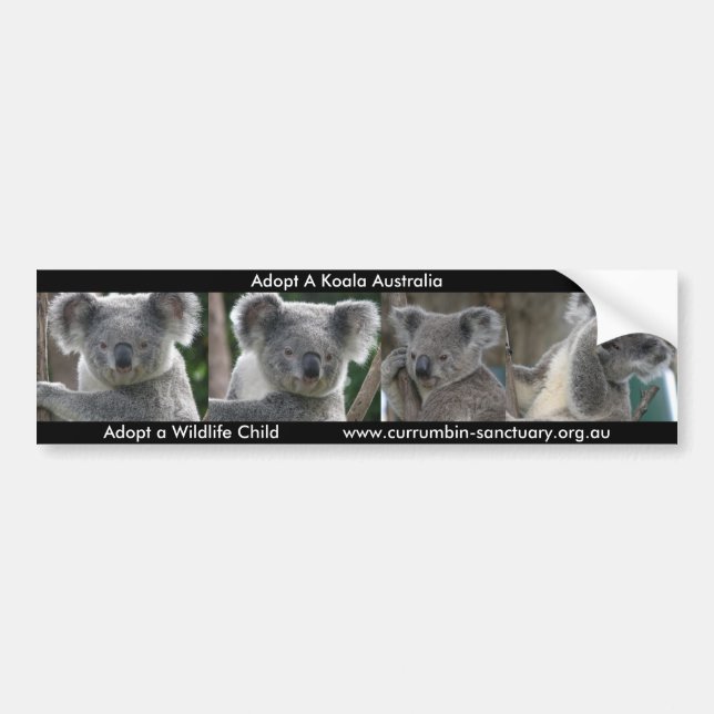 Bumper Sticker Adopt A Koala Australia (Front)