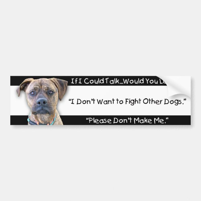 Bumper Sticker - Against Animal Cruelty (Front)