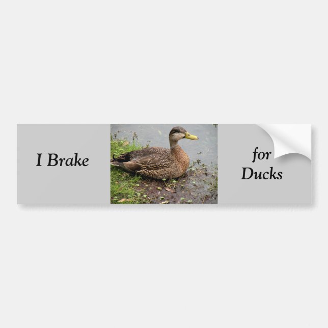 Bumper Sticker, Brake for Ducks Bumper Sticker (Front)