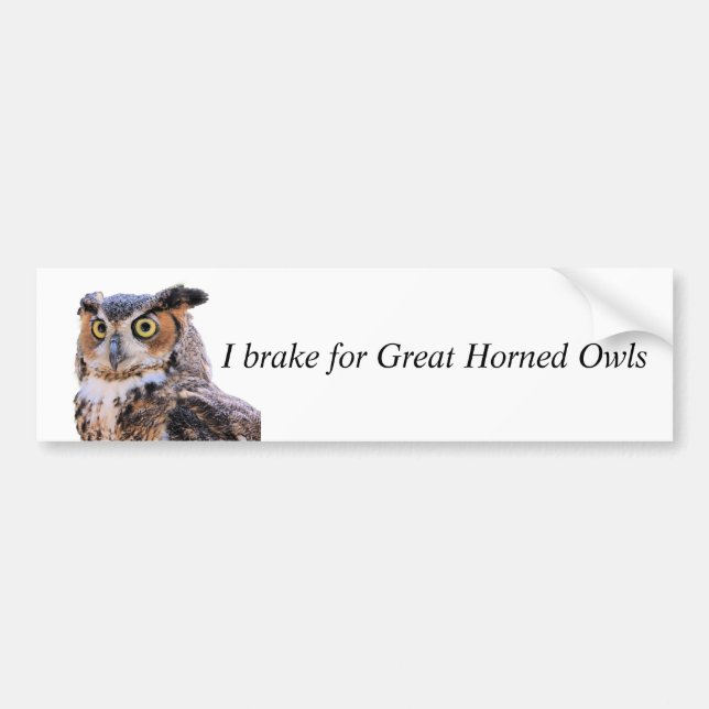 Bumper Sticker Brake for Great Horned Owls (Front)