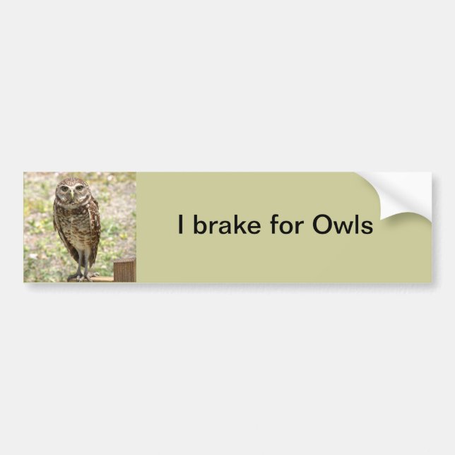 Bumper Sticker, Brake for Owls, Burrowing Owl Bumper Sticker (Front)