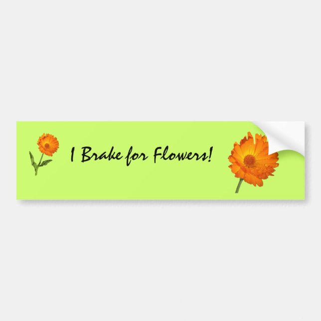 Bumper Sticker - Calendula  on stem (Front)
