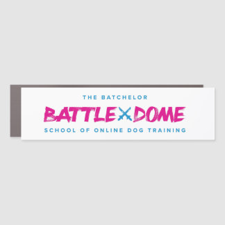 Bumper sticker car magnet