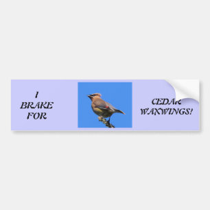 Bumper Sticker for Bird Lovers!