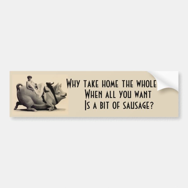 Bumper Sticker Funny risque women's humor for men (Front)