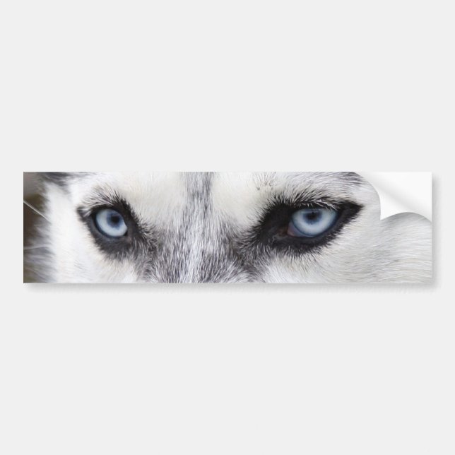 BUMPER STICKER HUSKY (Front)