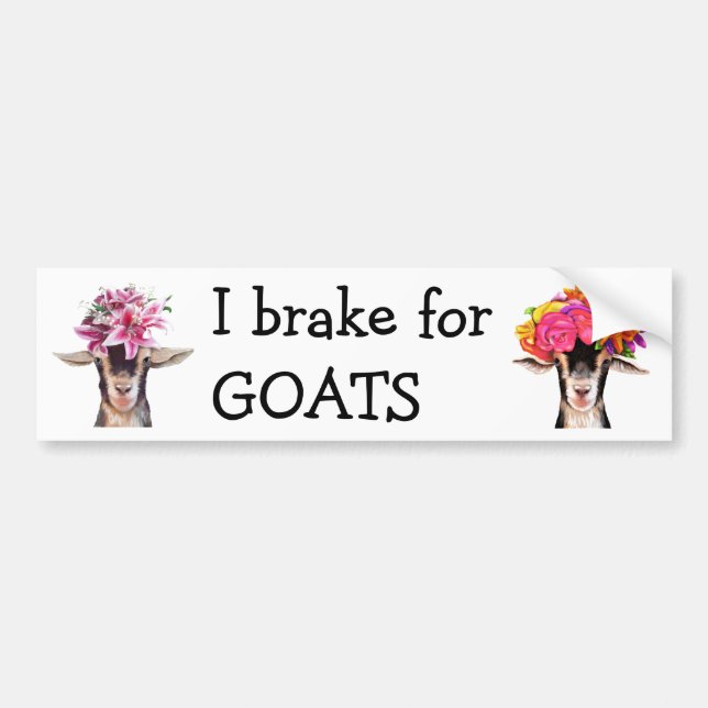 Bumper Sticker - I Brake For GOATS (Front)