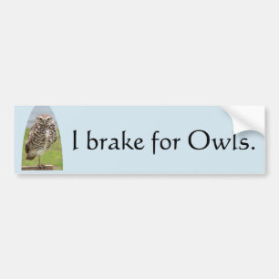 Bumper Sticker I brake for Owls with Burrowing Owl