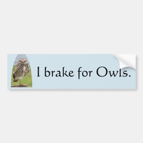 Bumper Sticker I brake for Owls with Burrowing Owl