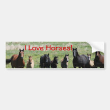 Bumper Sticker - I Love Horses!