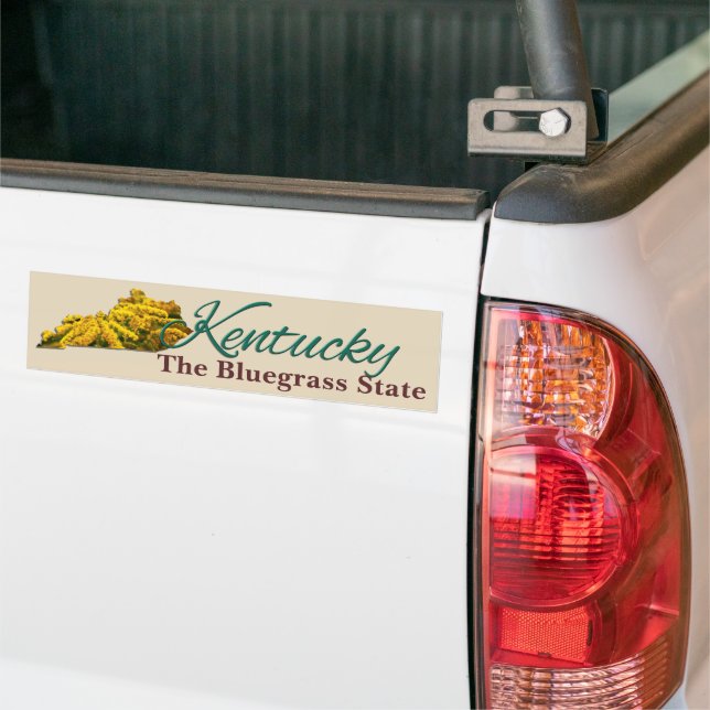 Bumper Sticker - KENTUCKY (On Truck)